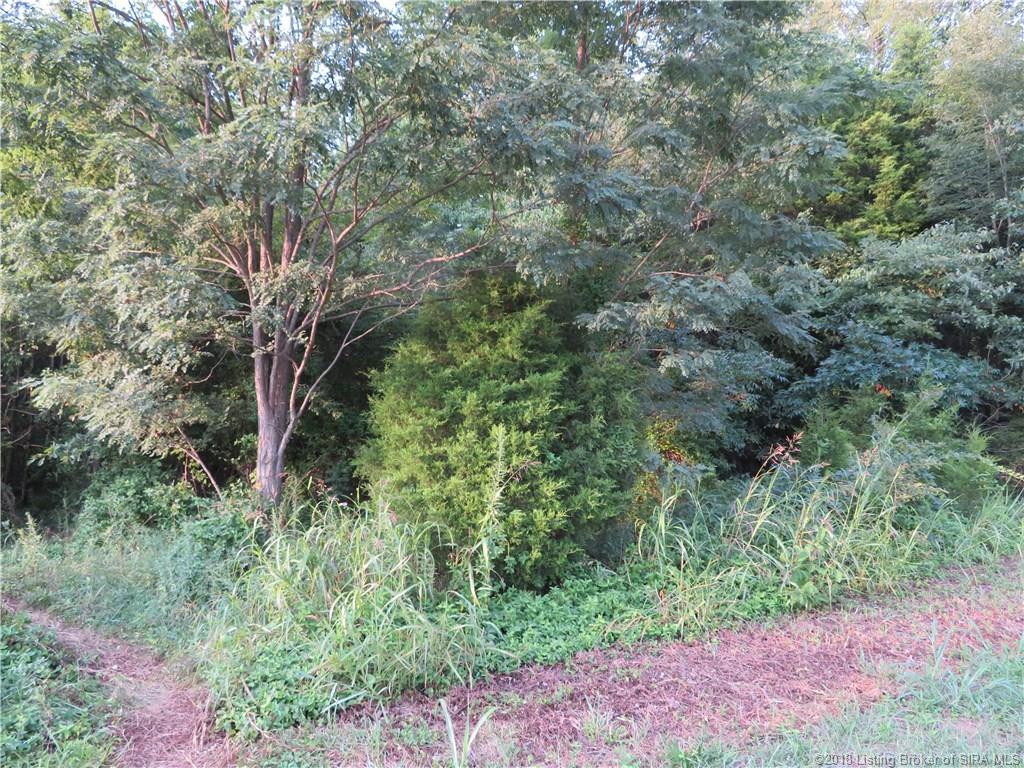 0 Eagle Point Lot 16 - Photo 1