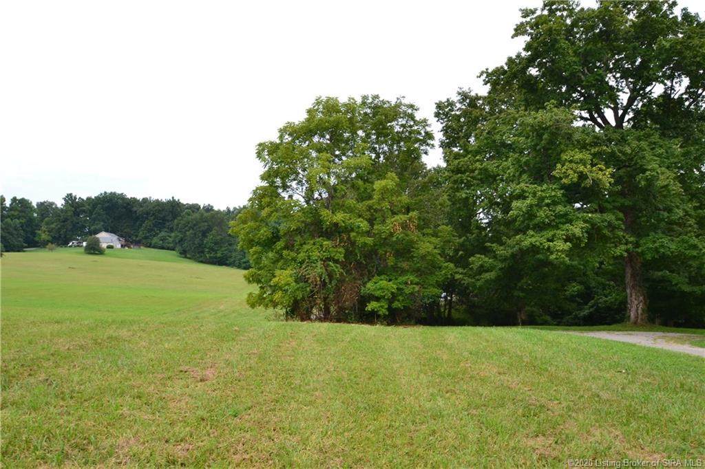 Tract 4 Walts Road - Photo 1