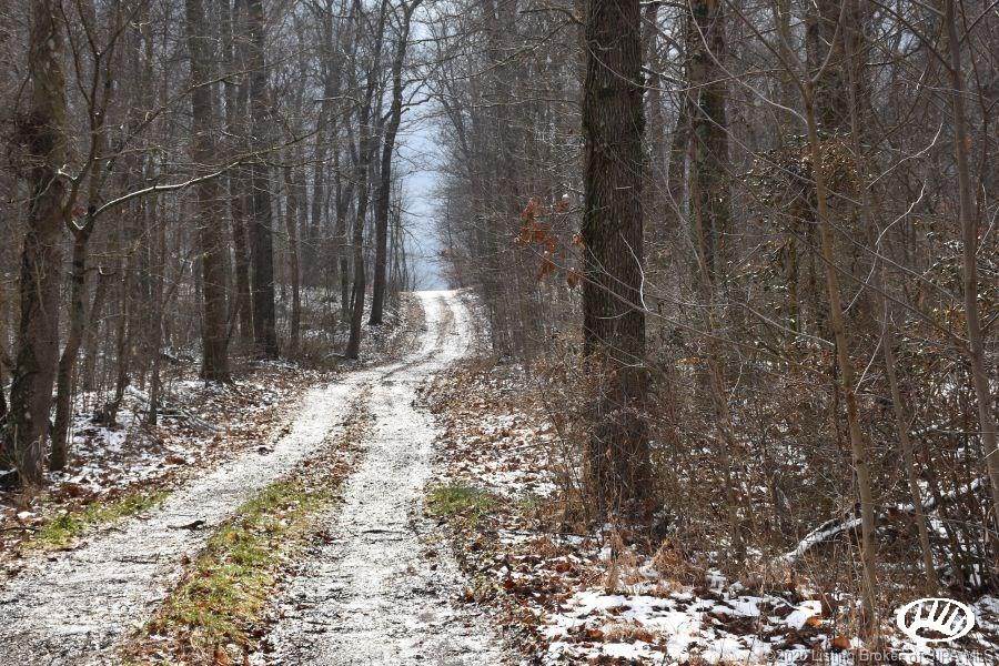 Reinhardt And Black Creek Road - Photo 1
