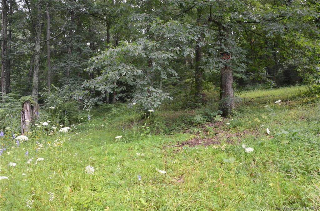 0 Shady Lane - Photo 1
