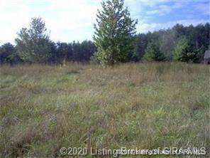 9875 Rabbit Hash Road - Photo 1