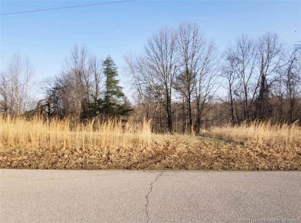 Lambs Ridge Road - Photo 1