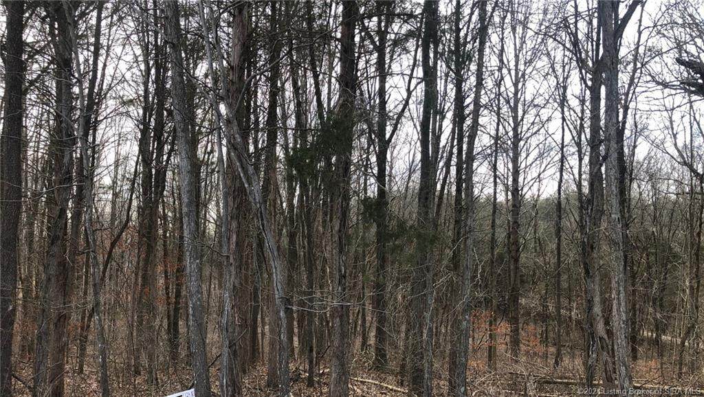 Squire Boone Road - Photo 1