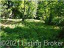 4335 Whiskey Run Road - Photo 1
