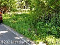 Whiskey Run Road - Photo 1