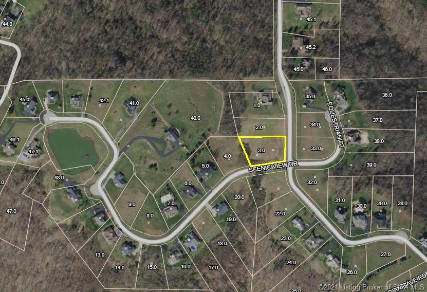 1401 Scenic View Drive - Photo 1