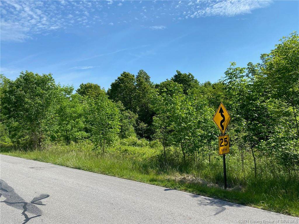 Tract 3 Corydon Ramsey Road - Photo 1