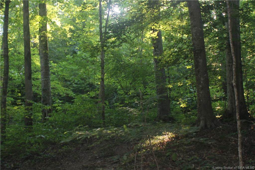 Wild-Oak - Photo 1