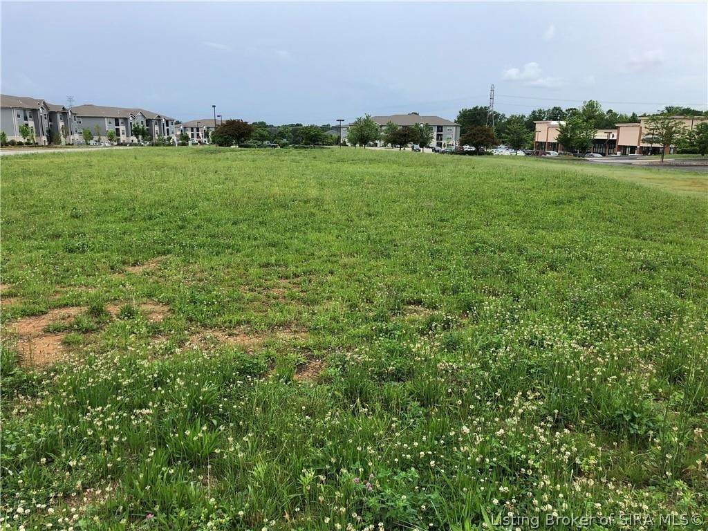 Peach Blossom Drive - Photo 1
