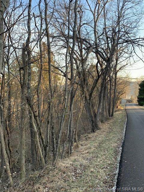 Ohio Avenue - Photo 1