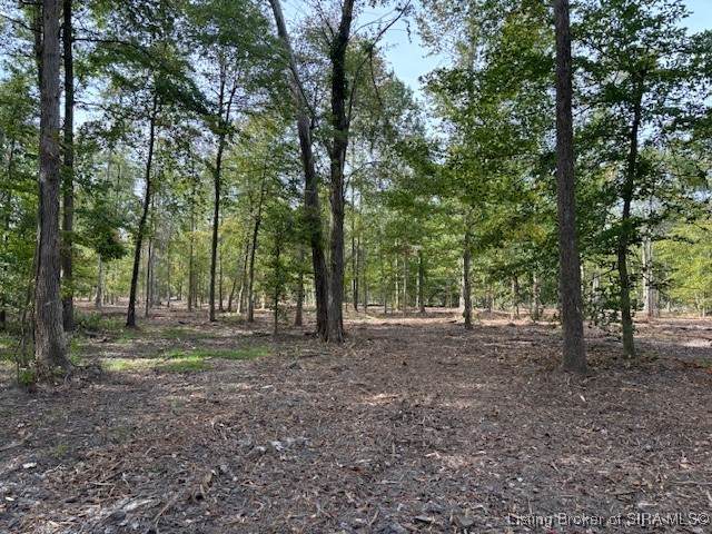 2515 Borcherding Road - Photo 1