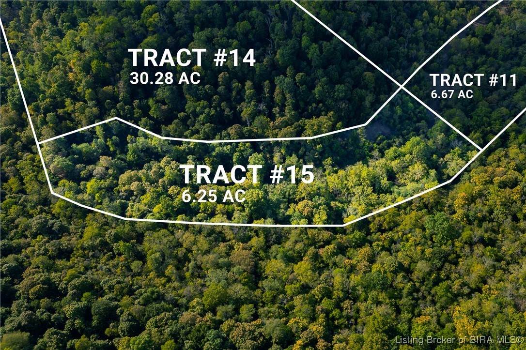 Tract 15 State Road 156 - Photo 1