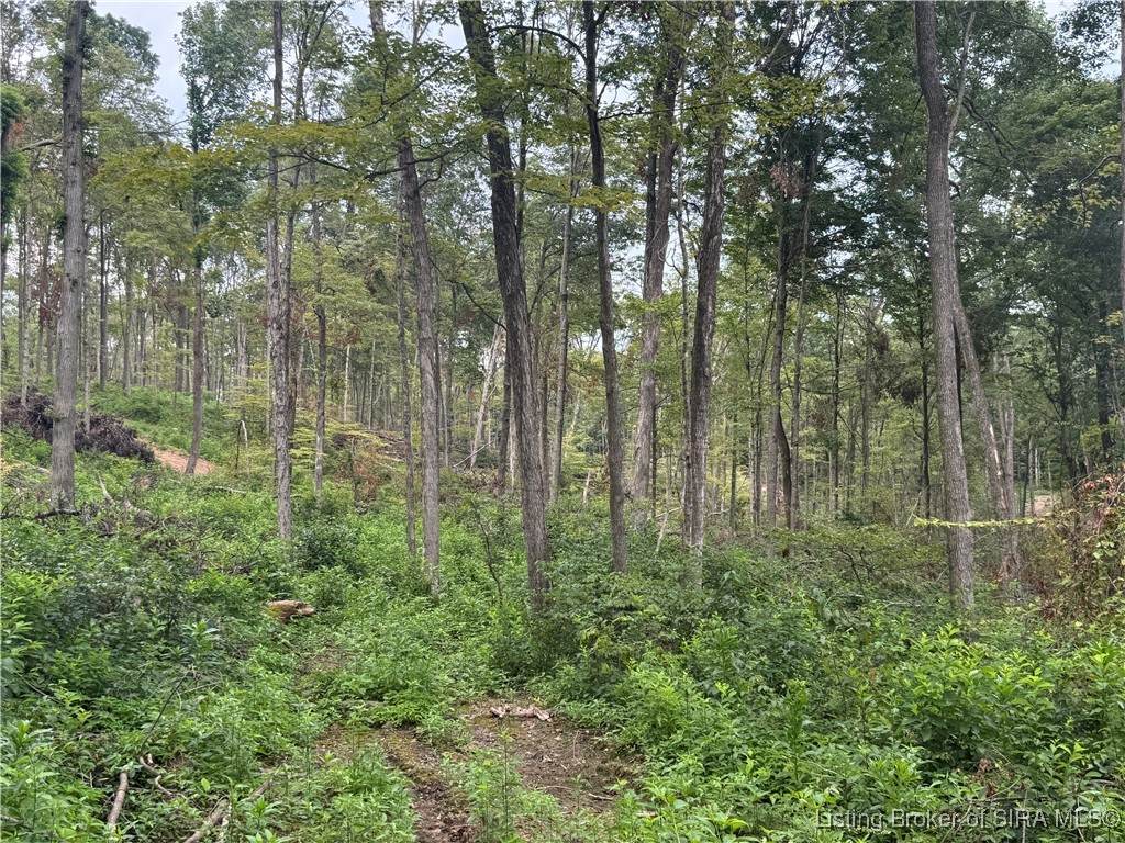  Off Co Rd 400 - Photo 1