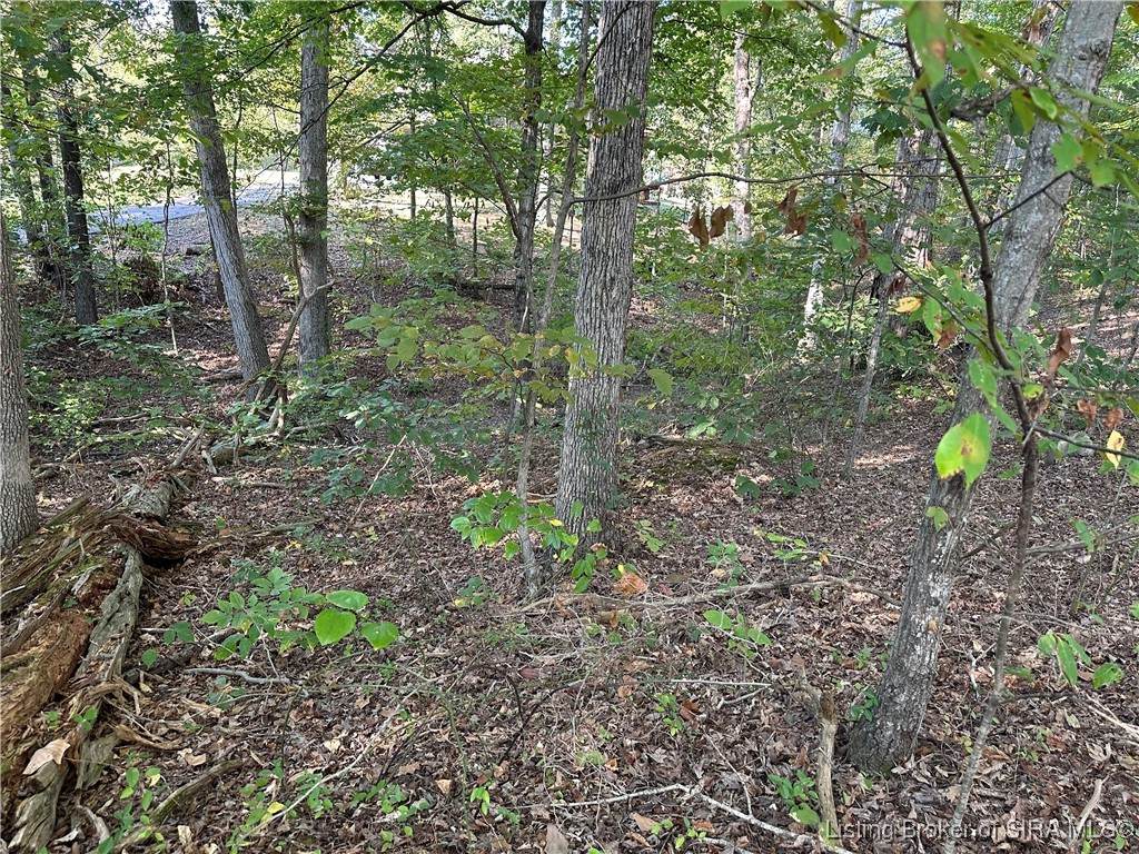 0.55 +/- AC Southern Hills Drive - Photo 1