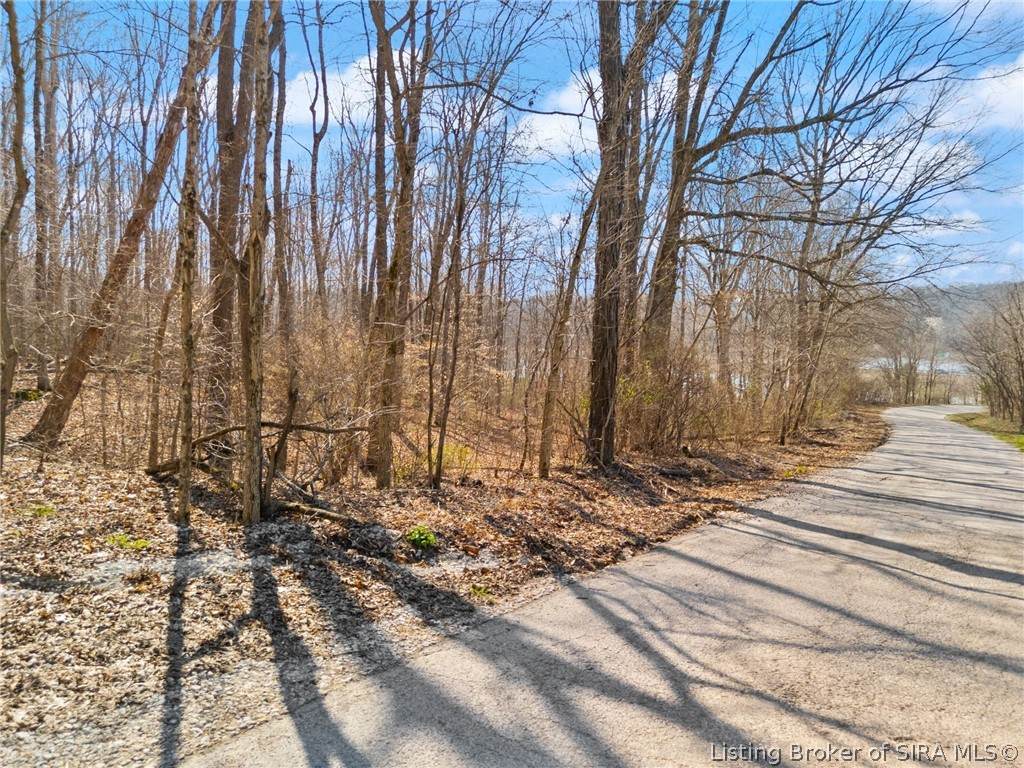 6 +/- AC Pedora School Road - Photo 1