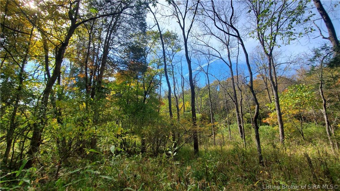 0 Rosewood Road - Photo 1