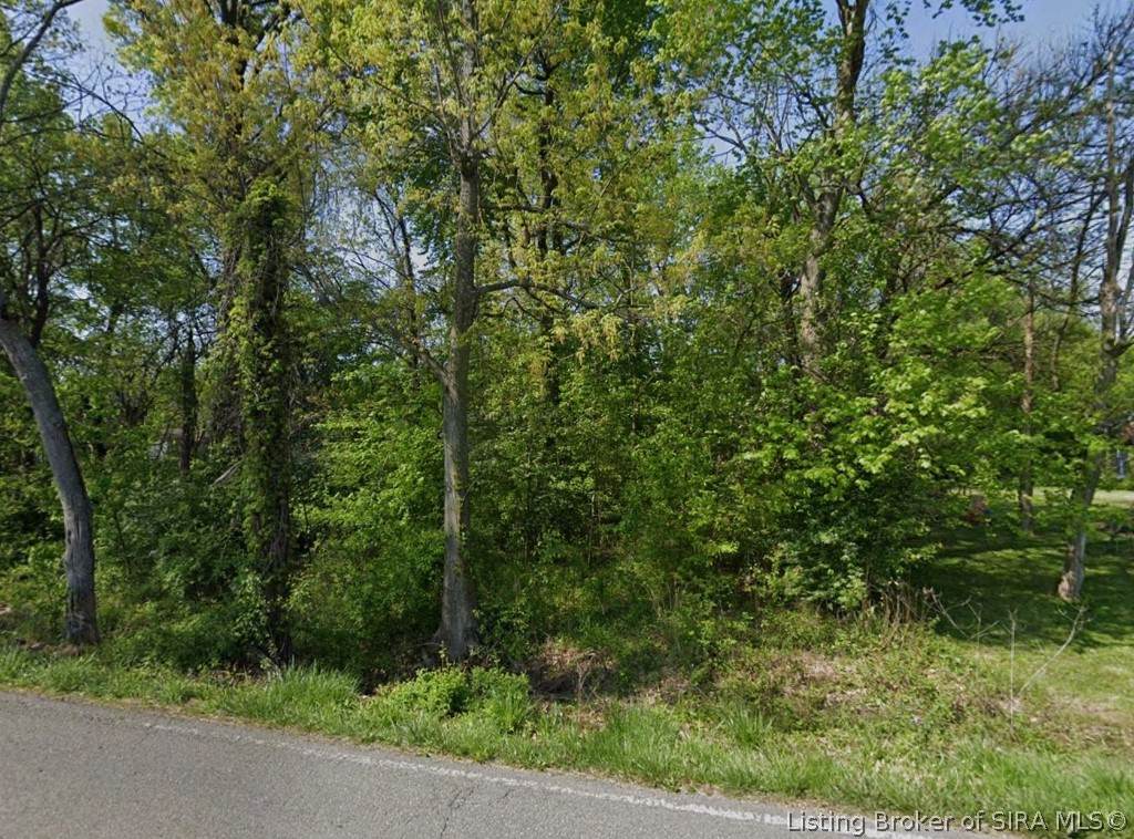 3517 Kamer Miller Road - Photo 1