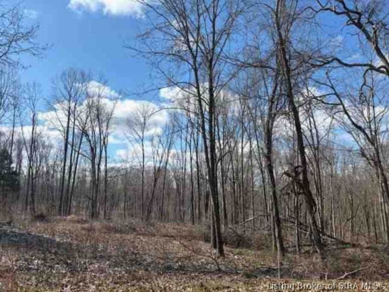  County Road 1025 - Photo 1