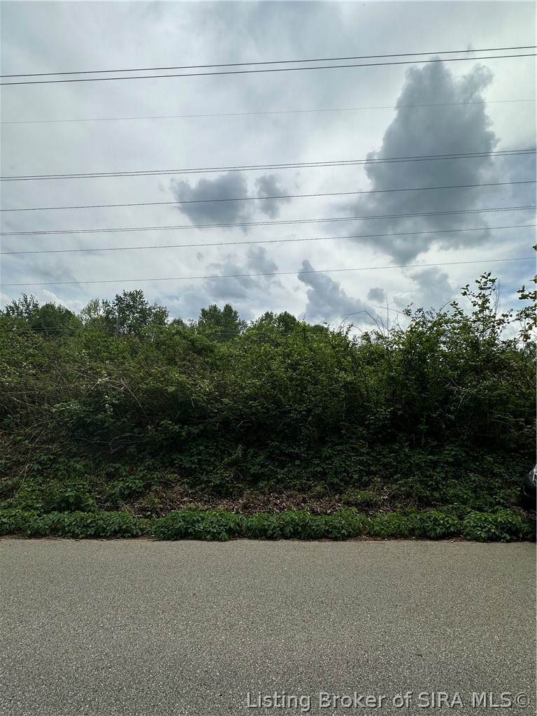 10385 Malinee Ott Road - Photo 1