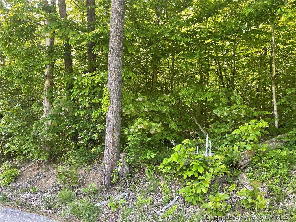  Forestry Road - Photo 1
