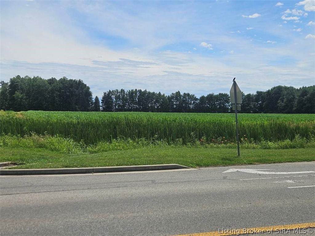 701 Hutchinson Lane - Photo 1