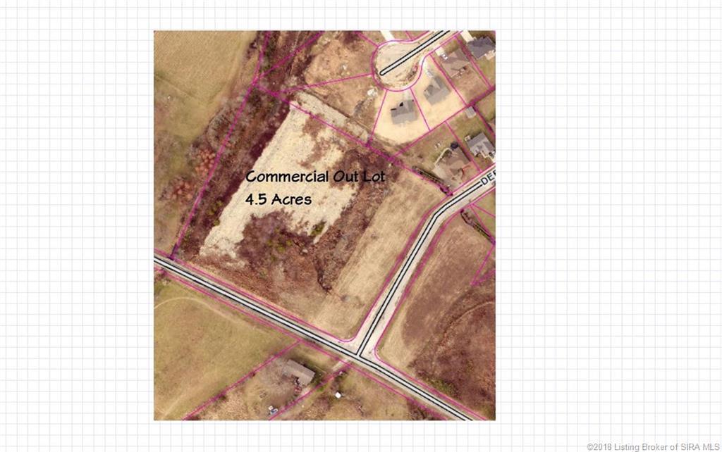 Corner Deerfield/Mem Blue Lick Road - Photo 1