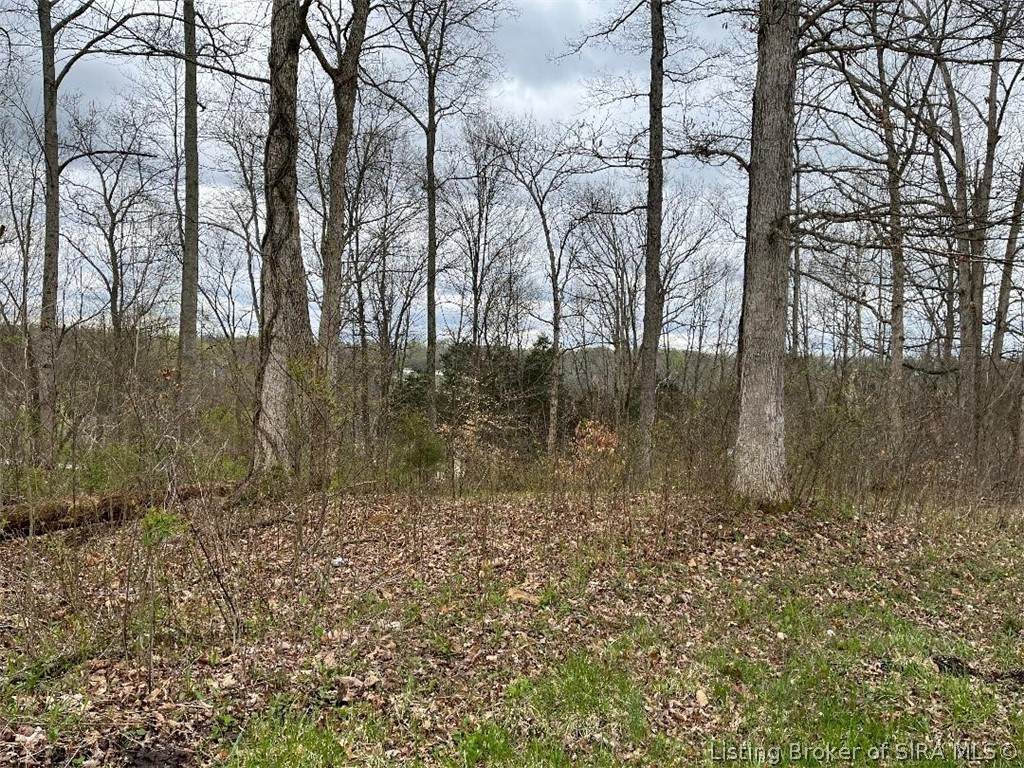Jacobs Ridge - Photo 1