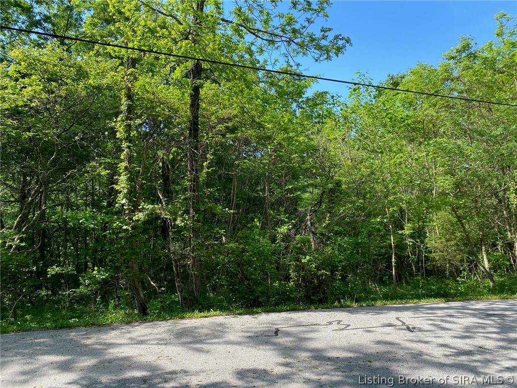 Tract 1 Mt. Tabor Road - Photo 1