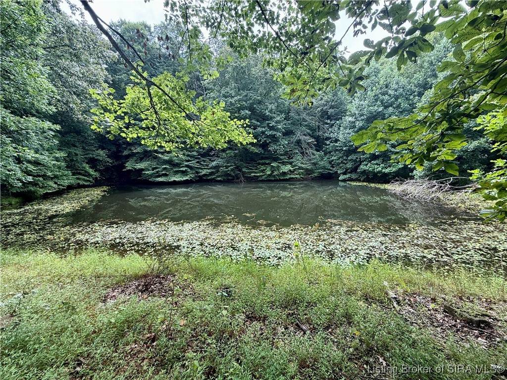 2032 Goat Hollow Road - Photo 1