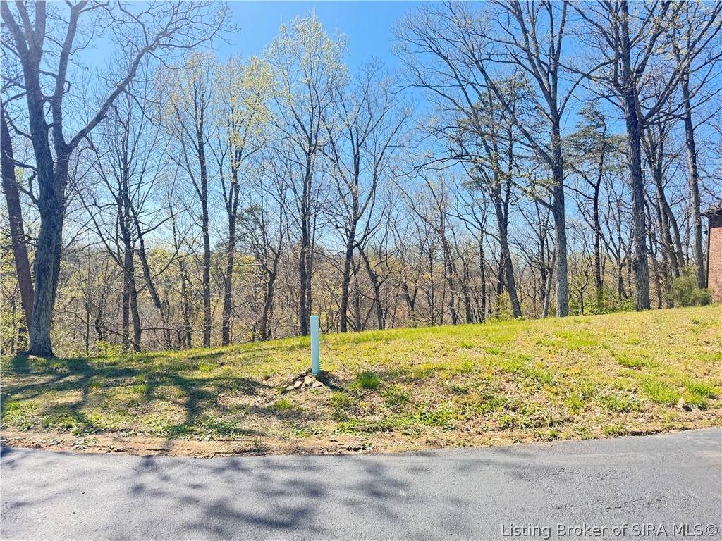1002 Canyon Road - Photo 1