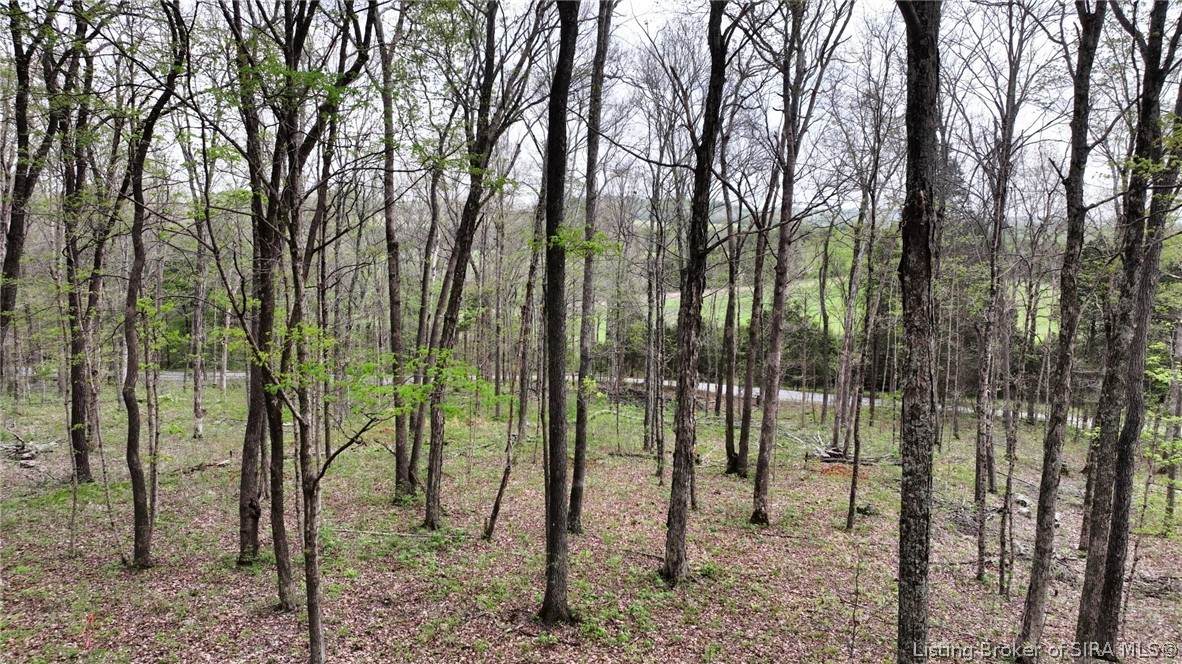 3800-A Lost Creek Road - Photo 1