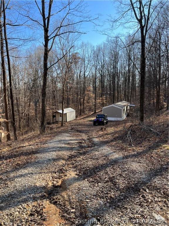 10700 Rabbit Hash Road - Photo 1