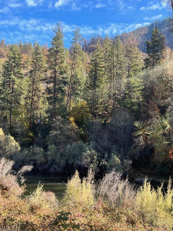 https://bt-photos.global.ssl.fastly.net/siskiyou/1280_boomver_1_20221407-2.jpg