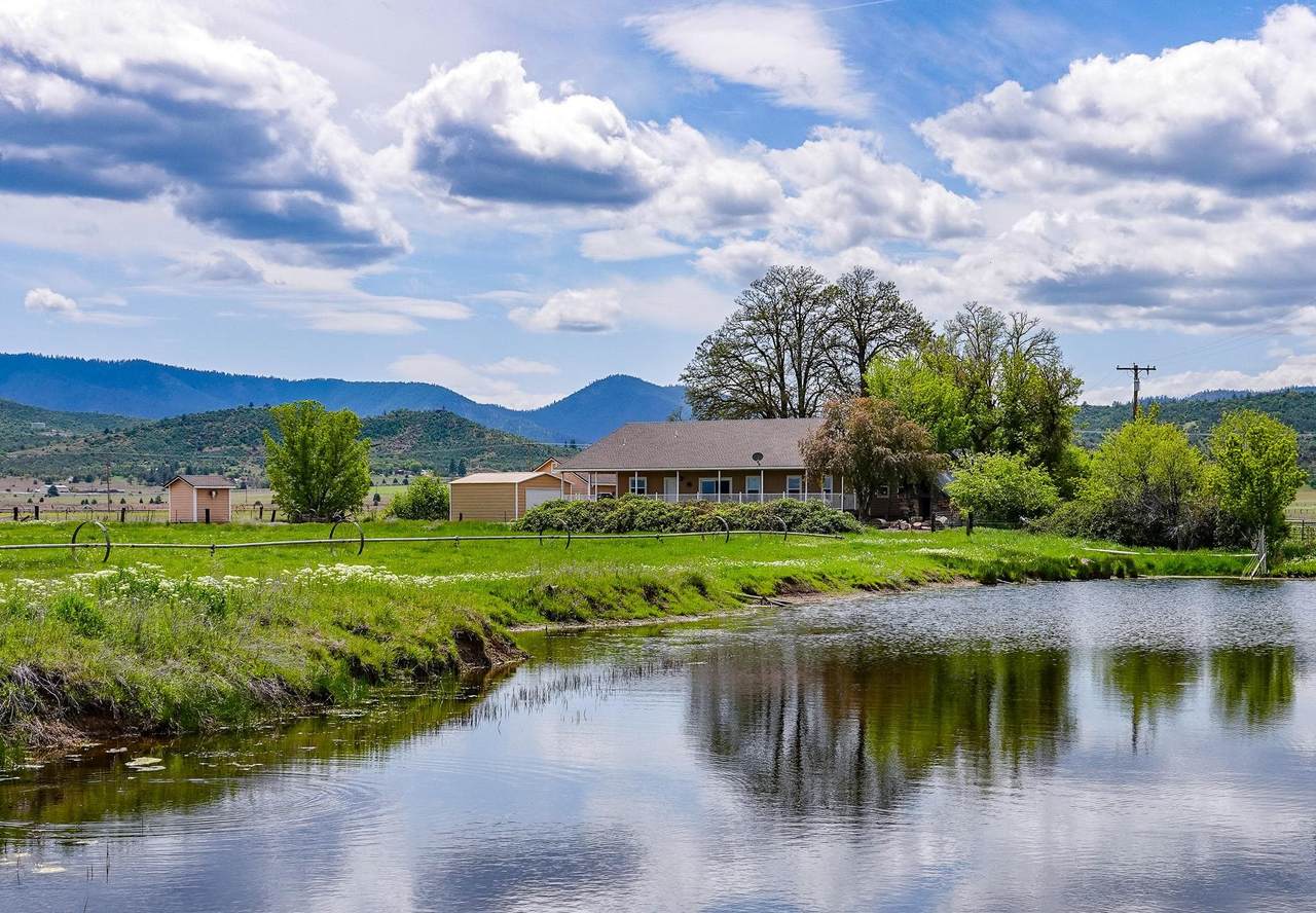 704 Phillipe - Photo 1