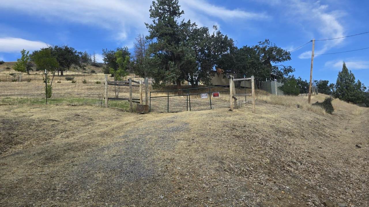 16338 Patricia - Photo 1