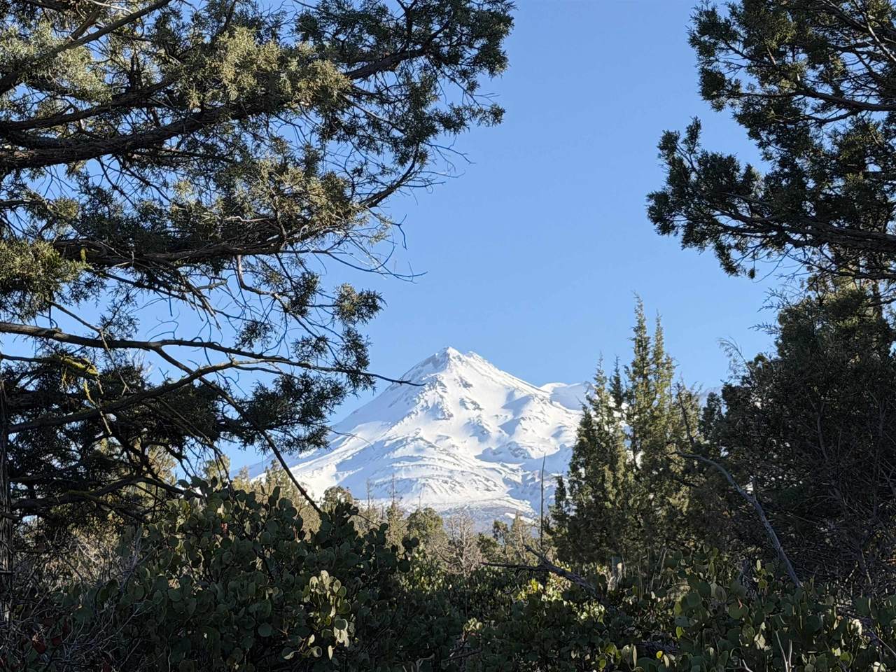https://bt-photos.global.ssl.fastly.net/siskiyou/1280_boomver_1_20260281-2.jpg