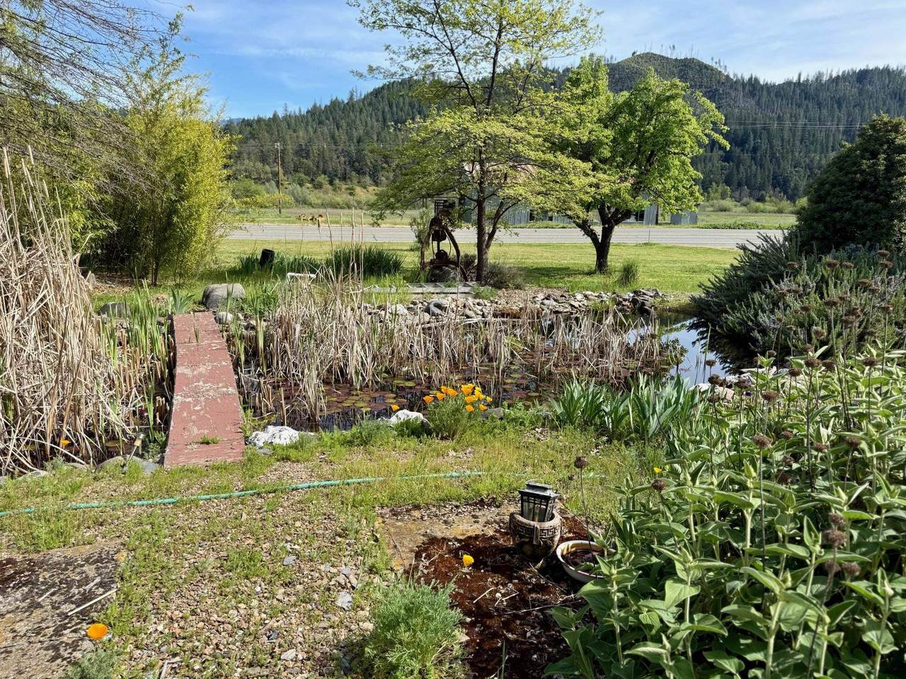 https://bt-photos.global.ssl.fastly.net/siskiyou/1280_boomver_1_20260405-2.jpg