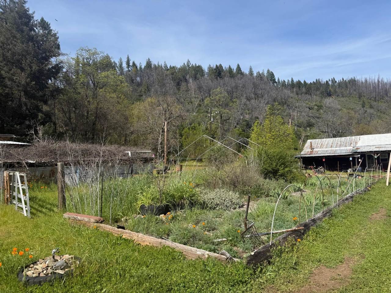 https://bt-photos.global.ssl.fastly.net/siskiyou/1280_boomver_1_20260405-2.jpg
