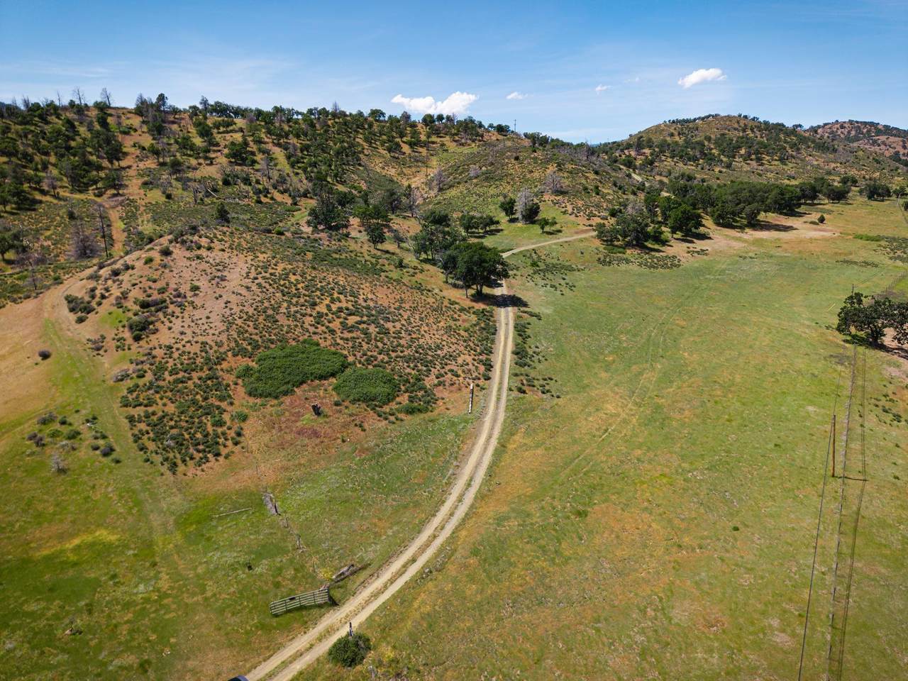 https://bt-photos.global.ssl.fastly.net/siskiyou/1280_boomver_1_20260609-2.jpg