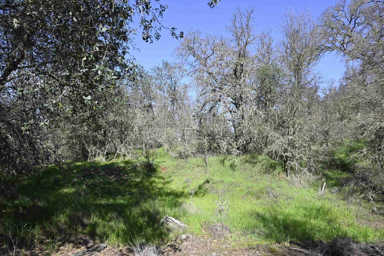 https://bt-photos.global.ssl.fastly.net/siskiyou/1280_boomver_1_20260776-2.jpg