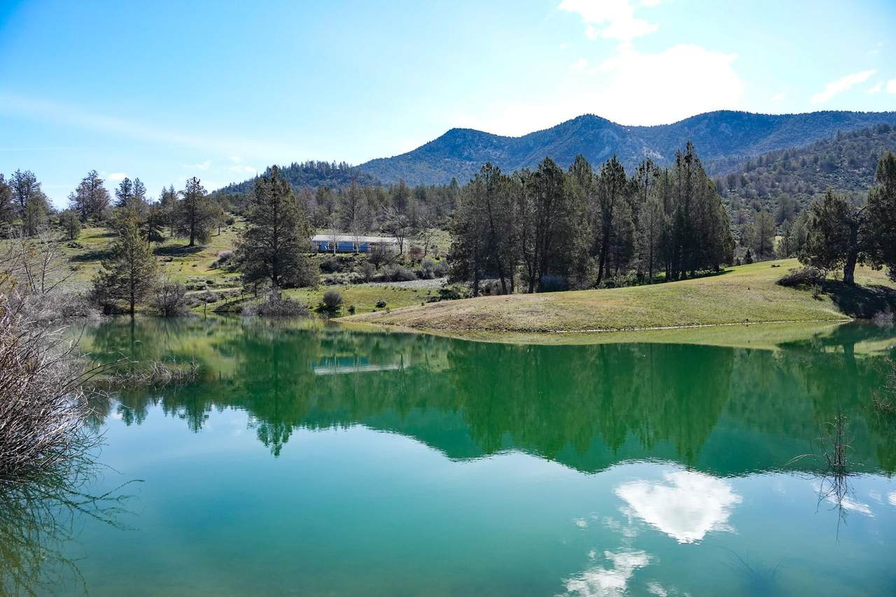 6000 Callahan Rd - Photo 1