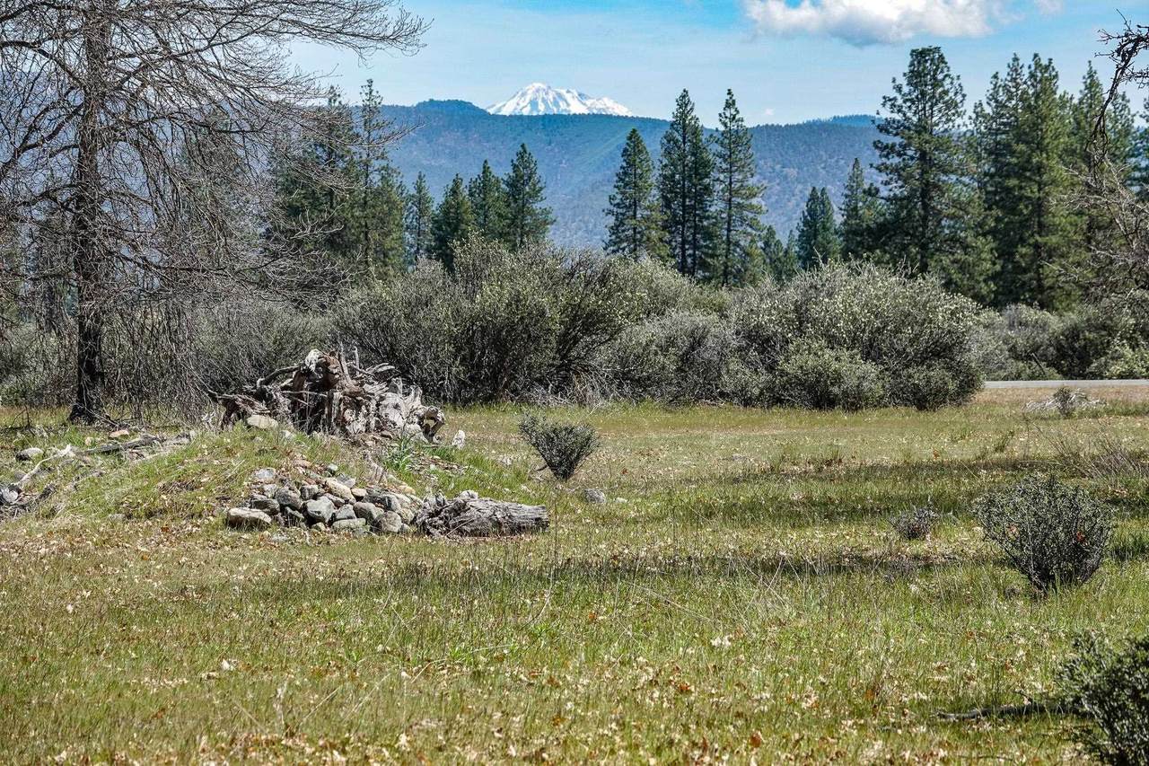 https://bt-photos.global.ssl.fastly.net/siskiyou/1280_boomver_2_20260409-2.jpg