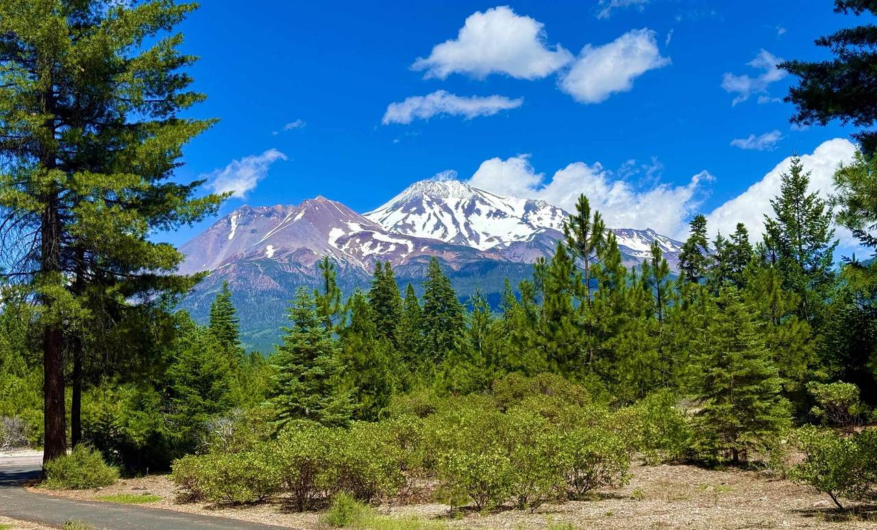 https://bt-photos.global.ssl.fastly.net/siskiyou/1280_boomver_3_20260840-2.jpg