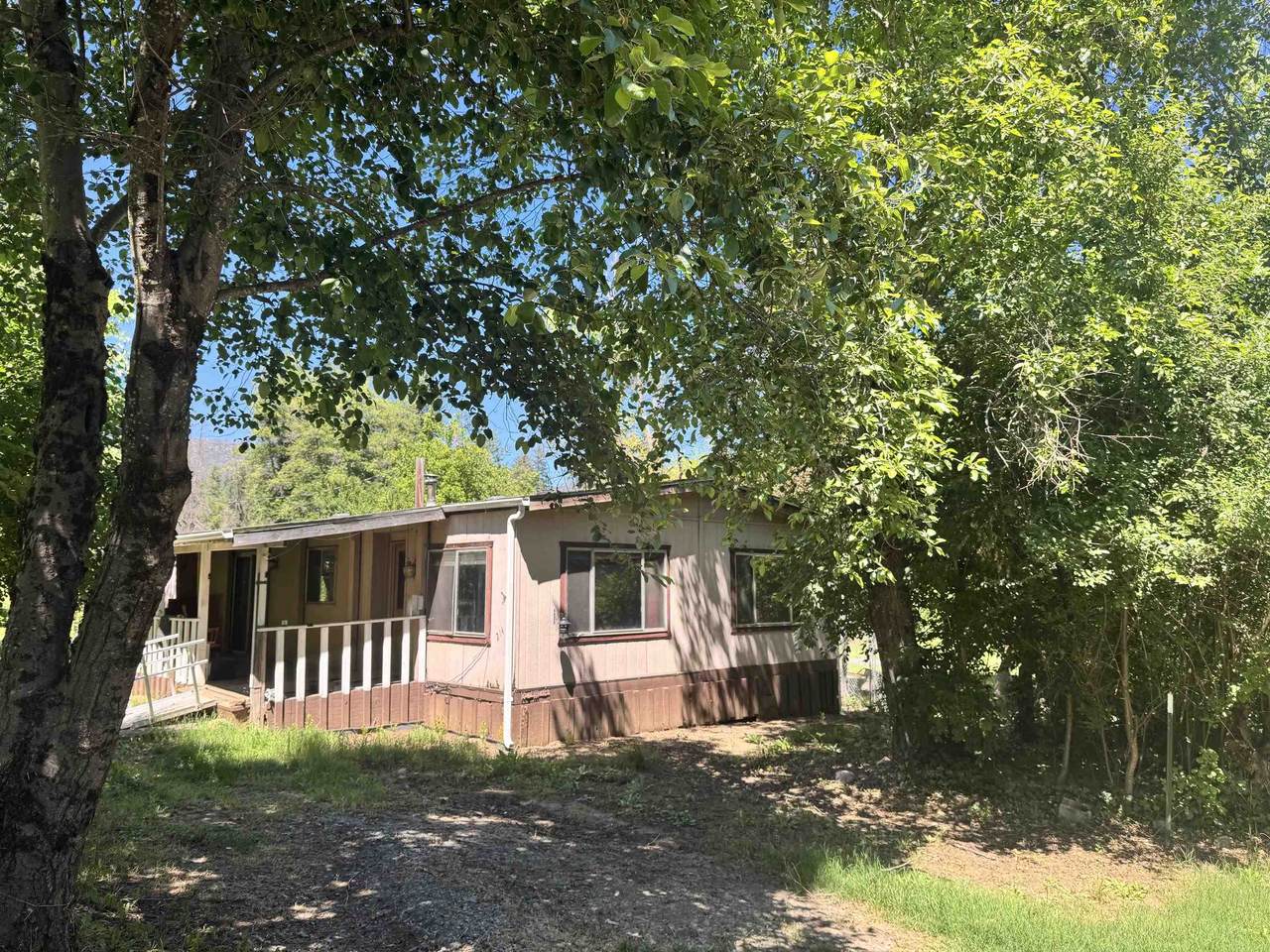 214 Buckhorn Road - Photo 1