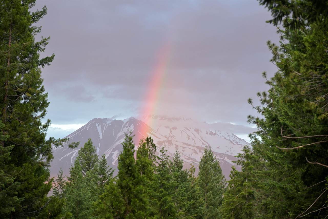 https://bt-photos.global.ssl.fastly.net/siskiyou/1280_boomver_3_20260691-2.jpg