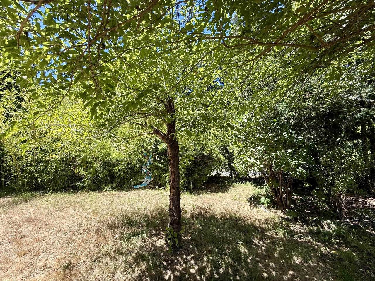 https://bt-photos.global.ssl.fastly.net/siskiyou/1280_boomver_4_20260156-2.jpg