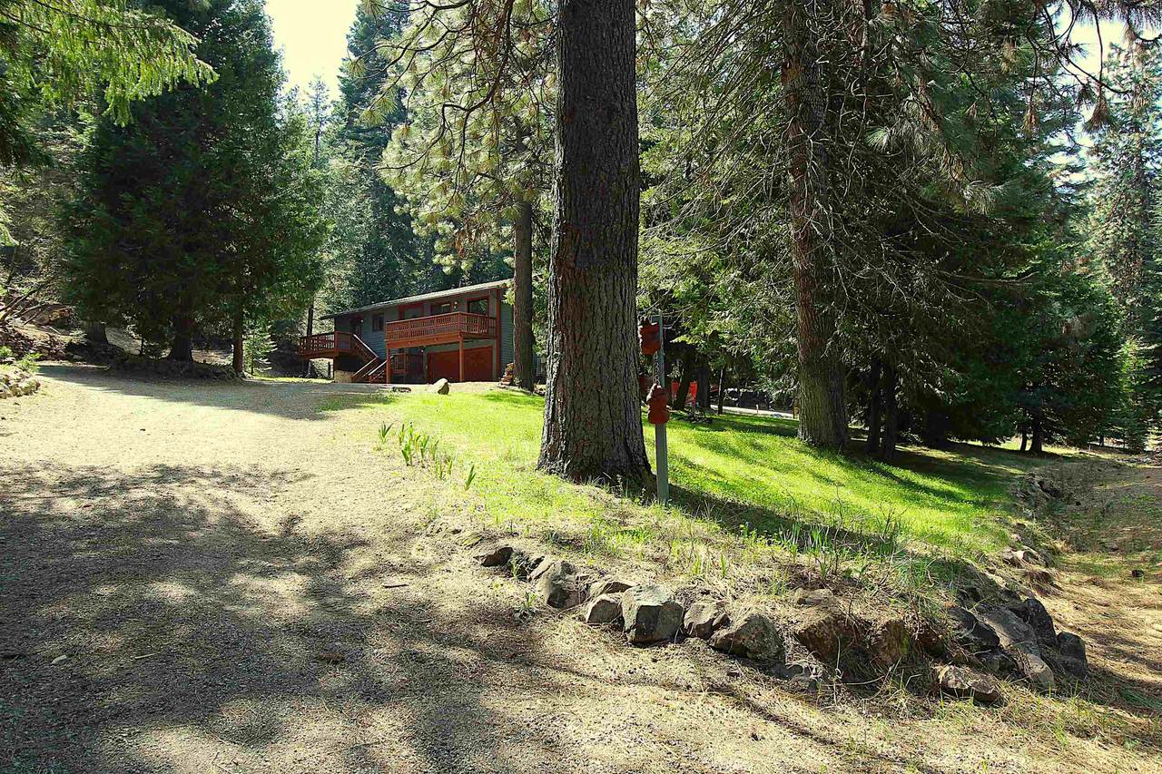 438 Dogwood Rd - Photo 1