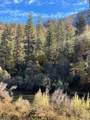 28934 Walker Road - Photo 3