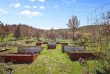 10532 Little Bogus Creek Rd - Photo 36