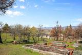 10532 Little Bogus Creek Rd - Photo 37